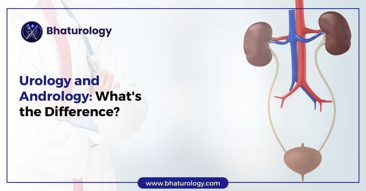 Urology and Andrology What's the Difference